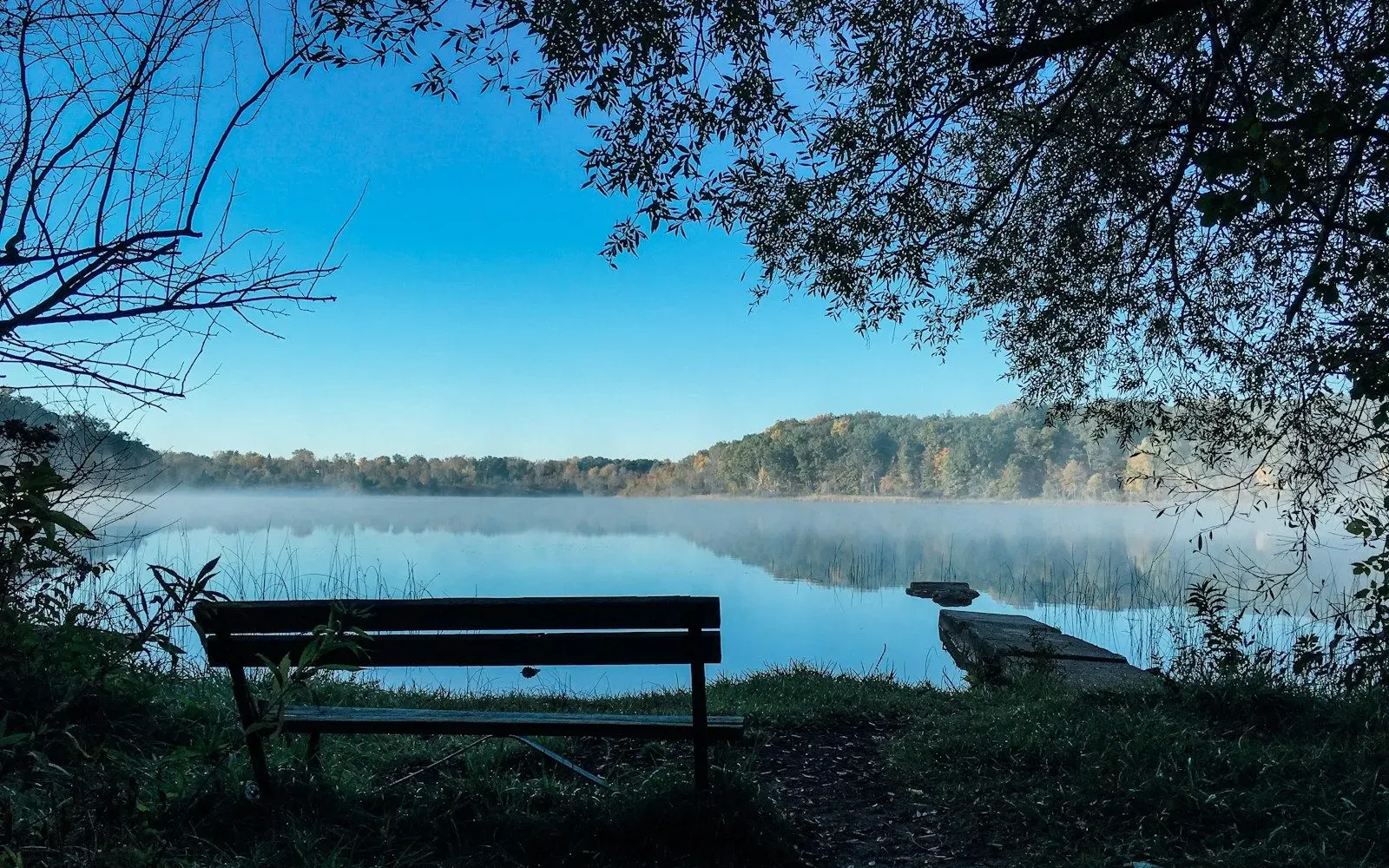 Holzbank vor einem See mit Morgennebel unter blauem Himmel