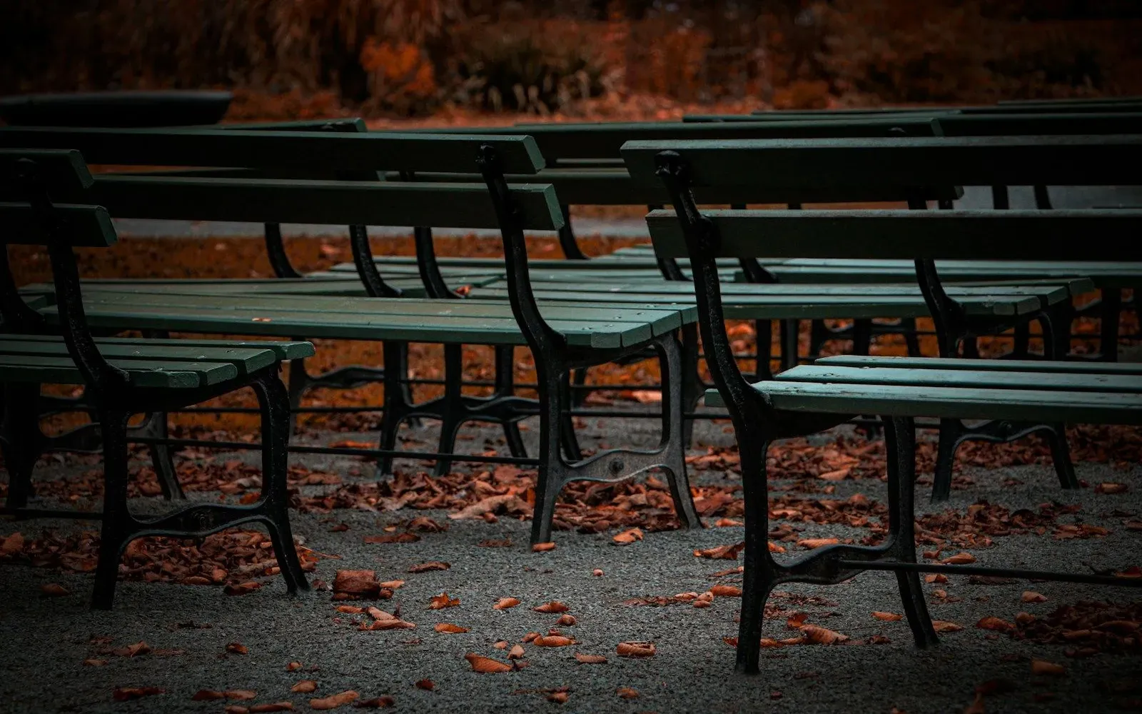 Leere grüne Parkbänke zwischen rotbraunem Herbstlaub